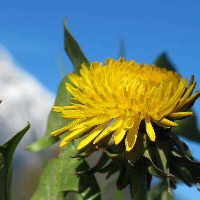 KOK·综合体育app